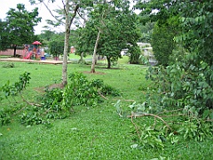 Cairns19 Cyclone Larry